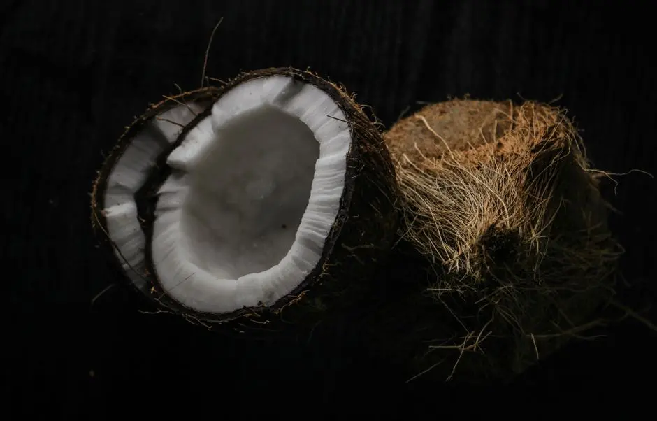 Tumpukan batok kelapa yang diolah menjadi tempat lilin dan hiasan